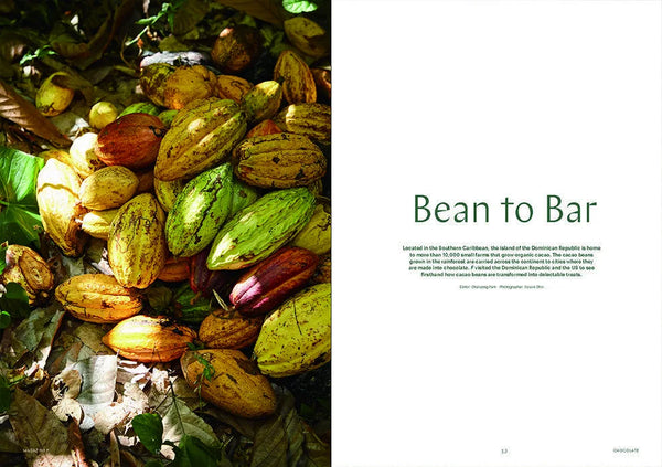 Issue No.06 Chocolate