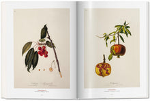 Load image into Gallery viewer, A Garden Eden. Masterpieces of Botanical Illustration
