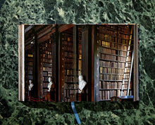 Load image into Gallery viewer, Massimo Listri. The World’s Most Beautiful Libraries
