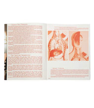 Load image into Gallery viewer, Pears 2 21 - Cover I
