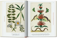 Load image into Gallery viewer, Taschen SEBA CABINET OF NATURAL CURIOSITIES 40TH ED
