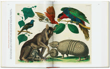 Load image into Gallery viewer, Taschen SEBA CABINET OF NATURAL CURIOSITIES 40TH ED
