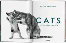 Load image into Gallery viewer, Walter Chandoha. Cats. Photographs 1942–2018
