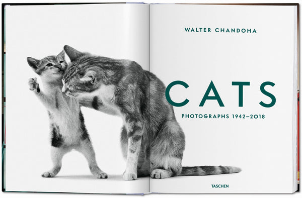 Walter Chandoha. Cats. Photographs 1942–2018