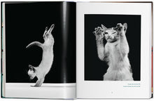 Load image into Gallery viewer, Walter Chandoha. Cats. Photographs 1942–2018
