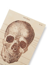 Load image into Gallery viewer, Cavallini Skeleton Greeting Card
