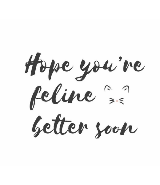Chlea Paperie GREETING CARD FELINE BETTER