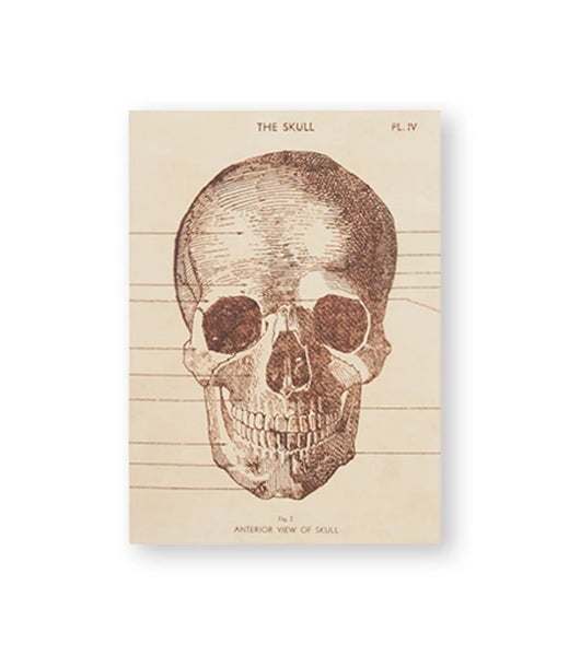 Cavallini Skeleton Greeting Card