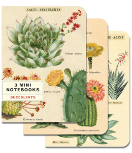 Succulents Notebook