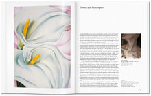 Load image into Gallery viewer, Taschen O&#39;Keeffe
