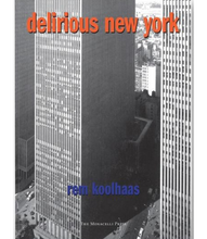 Load image into Gallery viewer, Phaidon Delirious New York
