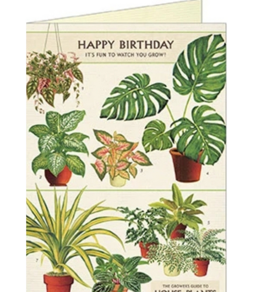 Cavallini Happy Birthday House Plants Greeting Card