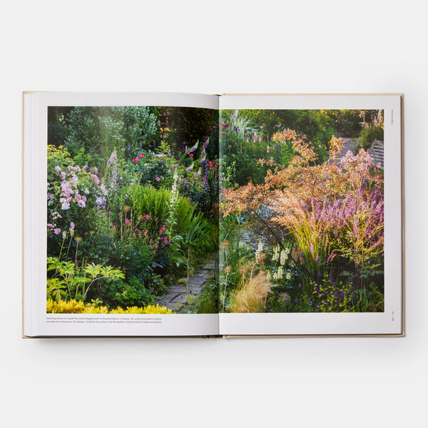The Seasonal Gardener Creative Planting Combinations